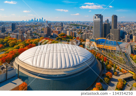 View of Tokyo Dome City LAQUA with autumn leaves from Tokyo Dome Hotel 134354250