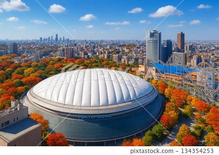 從東京巨蛋酒店眺望東京巨蛋城 LAQUA 的秋葉美景 134354253