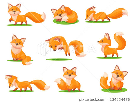 Cartoon red fox. Cute foxes with orange fluffy tail, funny baby sly animal forest character wildlife funny foxy face animals standing jump sitting poses, neat vector illustration Cartoon red fox. Cute foxes with orange fluffy tail, funny baby sly animal forest character wildlife funny foxy face animals standing jump sitting poses, neat vector illustration 134354476