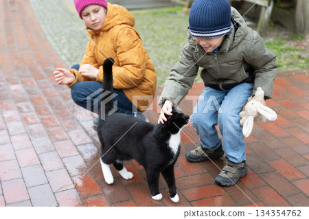 Two children pet black white homeless cat on wet brick pavement street walking outdoors  city rainy day. Candid childhood moment shows kindness affection warm interaction kids animal overcast weather 134354762