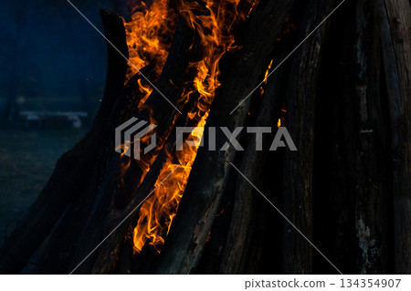 Beautiful fire flames on a campfire 134354907