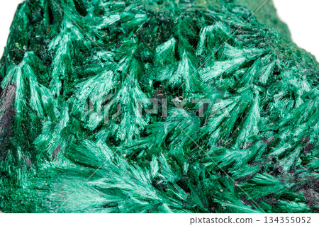 Macro mineral stone plisoviy, plush, satin malachite on a white background Macro mineral stone plisoviy, plush, satin malachite on a white background 134355052