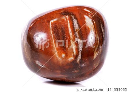 Macro mineral stone ground petrified tree on white background 134355065