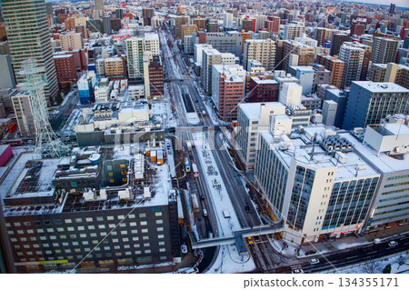 從電視塔上看到的札幌市 從電視塔上看到的札幌市 134355171