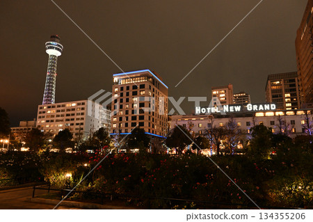 燈光璀璨的海洋塔和新格蘭德酒店 134355206