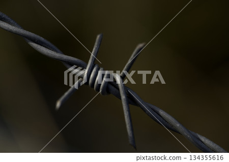 Worn barbed wire indicates defiance and solitude enduring time Worn barbed wire indicates defiance and solitude enduring time 134355616