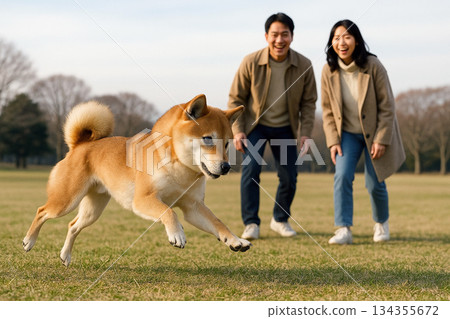 一對日本夫婦和一隻小柴犬在冬日的草地上隨意地跳躍著。 134355672
