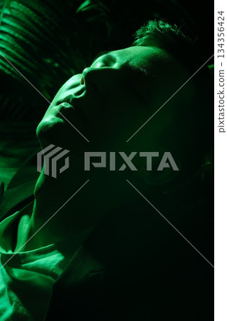 Figurative silhouette beneath verdant illumination scene 134356424
