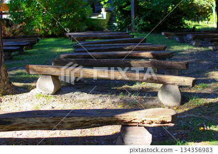 Rows of wooden benches under trees in a serene park during a sunny day Rows of wooden benches under trees in a serene park during a sunny day 134356983