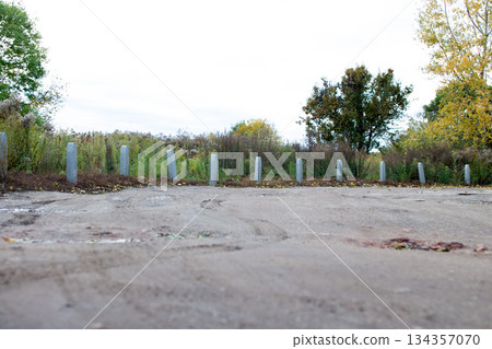 Empty lot with concrete posts surrounded by overgrown vegetation in a quiet Empty lot with concrete posts surrounded by overgrown vegetation in a quiet 134357070