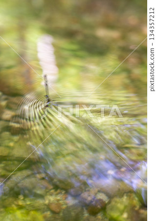 森林水面上倒映著翠綠的植物,清澈的溪流,生態景觀(奧大泉) 森林水面上倒映著翠綠的植物,清澈的溪流,生態景觀(奧大泉) 134357212