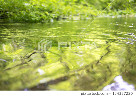 Fresh greenery reflected on the water surface of the forest, clear streams, and eco-friendly images (Oku-Daisen) 134357220