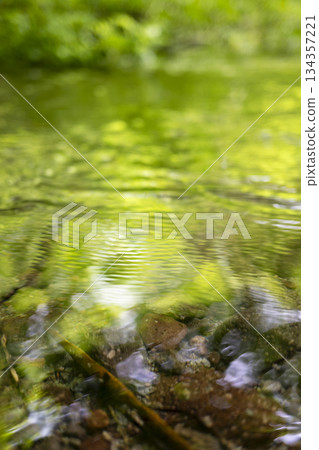 Fresh greenery reflected on the water surface of the forest, clear streams, and eco-friendly images (Oku-Daisen) 134357221
