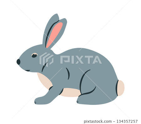 Rabbit cartoon vector illustration. Cute bunny rabbit cartoon clipart flat. Rabbit in sitting pose Rabbit cartoon vector illustration. Cute bunny rabbit cartoon clipart flat. Rabbit in sitting pose 134357257