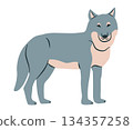 Wolf cartoon vector illustration. Wild animal clipart flat. 134357258