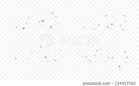 Green leaves pattern 134357583