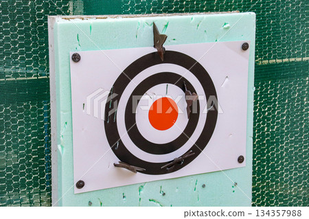 The target hit by the shuriken 134357988