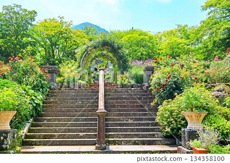 Hakone Gora Park Hakone Gora Park 134358100