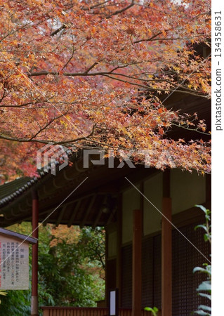 Landscape with autumn leaves Landscape with autumn leaves 134358631