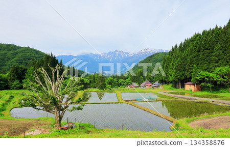Hakuba Blue Demon Settlement 134358876