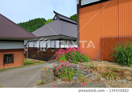 白馬藍色惡魔定居點 白馬藍色惡魔定居點 134358882
