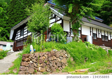 Hakuba Blue Demon Settlement 134358893