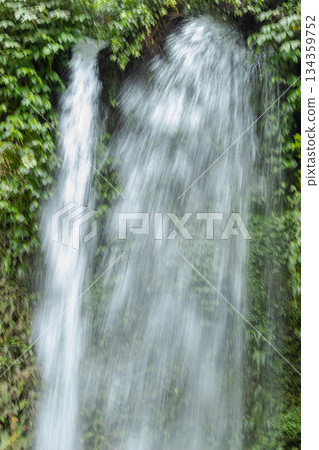 Waterfall cascades down lush green mossy rock face captured using slow shutter speed motion blur effect in Bayan village North Lombok Indonesia. Waterfall cascades down lush green mossy rock face captured using slow shutter speed motion blur effect in Bayan village North Lombok Indonesia. 134359752