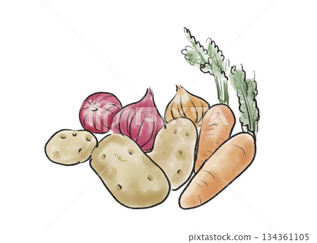 Fresh vegetables color illustration | Potato, carrot, onion 134361105