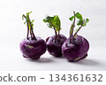 Purple kohlrabi or turnip cabbage on white background 134361632