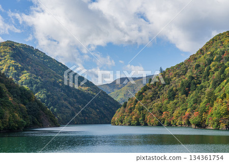 秋葉倒映在長野縣松本市梓湖上 秋葉倒映在長野縣松本市梓湖上 134361754