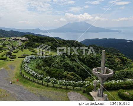 View of Kinko Bay and Sakurajima from the Tenkyukan on the Kihoku Uwaba Plateau 134361922