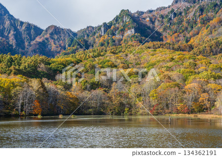 長野縣戶隱町,秋葉染成的鏡池 長野縣戶隱町,秋葉染成的鏡池 134362191