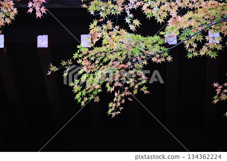 Autumn leaves of old temple 134362224