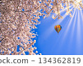 Image of spring in Japan: Cherry blossoms in full bloom and balloons combined 134362819