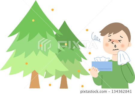 A cedar tree emitting pollen and a man with a runny nose 134362841