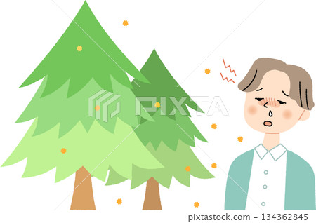 A cedar tree releasing pollen and a man with a headache A cedar tree releasing pollen and a man with a headache 134362845