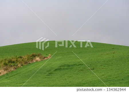 Landscape of Biei in autumn Landscape of Biei in autumn 134362944