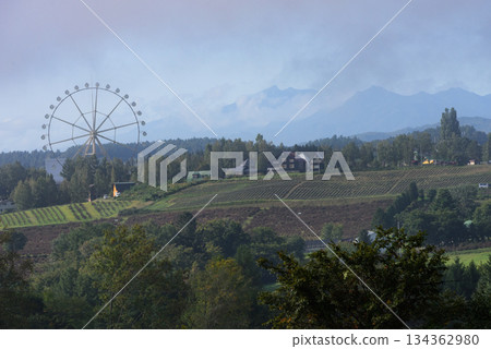 Biei風景在秋天 134362980