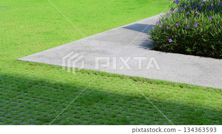 green grass in the garden with sunlight, exterior design for home 134363593