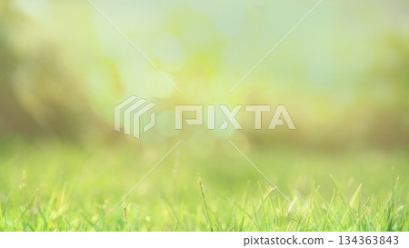 Spring grass blades growing on a vibrant green lawn creating a serene abstract nature background. Spring grass blades growing on a vibrant green lawn creating a serene abstract nature background. 134363843