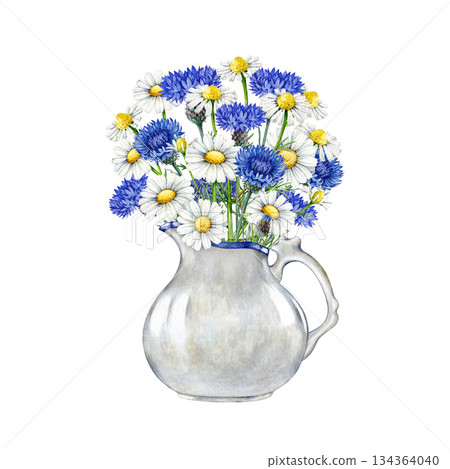 Fresh cut chamomile flowers with blue cornflowers in white porcelain vase vintage style watercolor illustration. Hand drawn meadow wildflowers in a jar isolated on white background 134364040