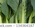 Hand-harvested green vegetables 134364187