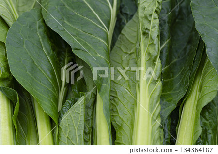 Hand-harvested green vegetables 134364187