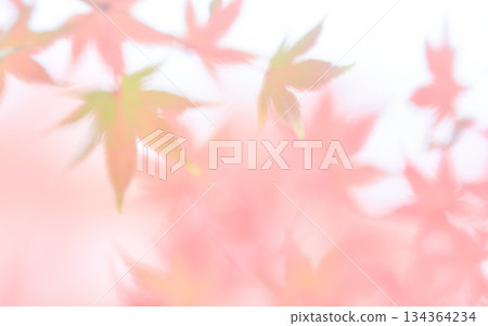 High key soft focus pale color maple pattern background image 134364234