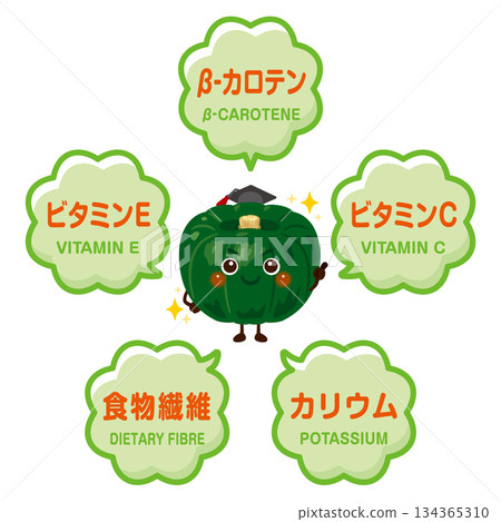 南瓜的圖像以及南瓜所含成分的插圖 134365310