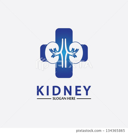 Health and Care Kidney Logo Design Concept. Urology Logo Vector Template Health and Care Kidney Logo Design Concept. Urology Logo Vector Template 134365865