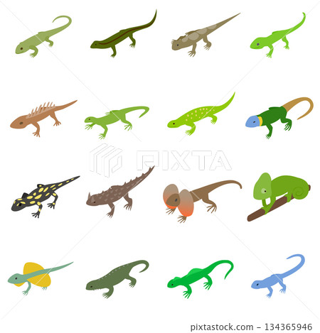 Lizard icons set, isometric 3d style Lizard icons set, isometric 3d style 134365946