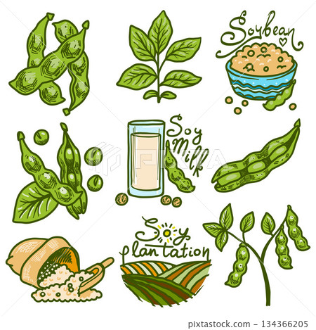 Soybean icons set, hand drawn style Soybean icons set, hand drawn style 134366205