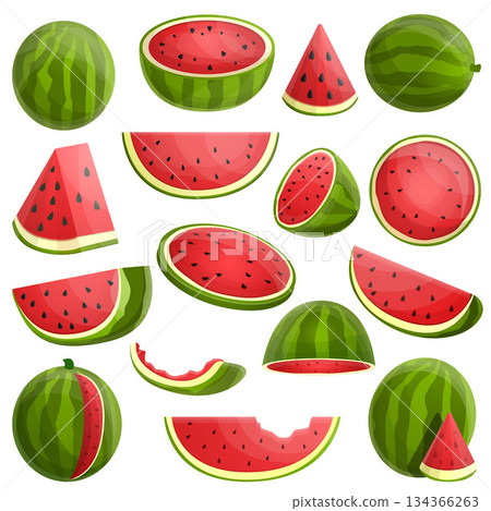 Watermelon icons set, cartoon style 134366263