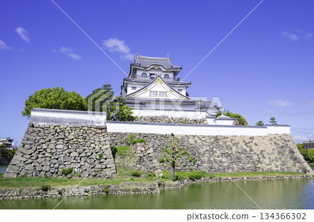 在內護城河閃閃發光的美麗岸和田城天守閣（大阪府岸和田市） 134366302